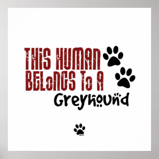 Póster Este Humano Pertence a um Greyhound