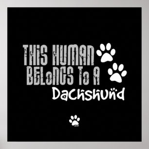 Poster Este ser humano pertence a um Dachshund