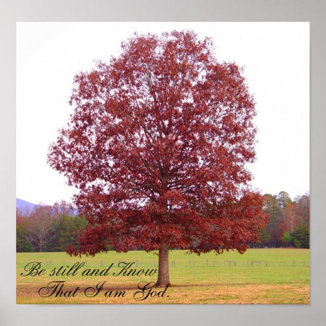 Póster Esteja (Frente)