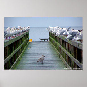 Poster Esteja para fora na multidão