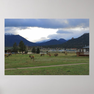 Póster Estes Park, Co