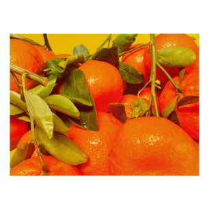 Póster Estética da Fruta de laranja mole