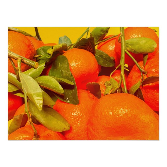 Póster Estética da Fruta de laranja mole (Frente)