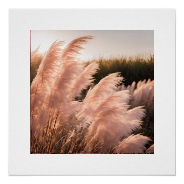 Póster Estética Pam-Pam Rosa (Frente)