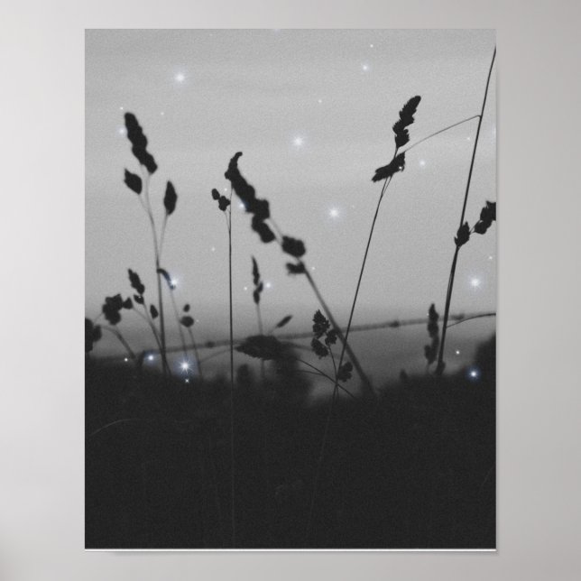 Poster Estética Preta e Branca (Frente)