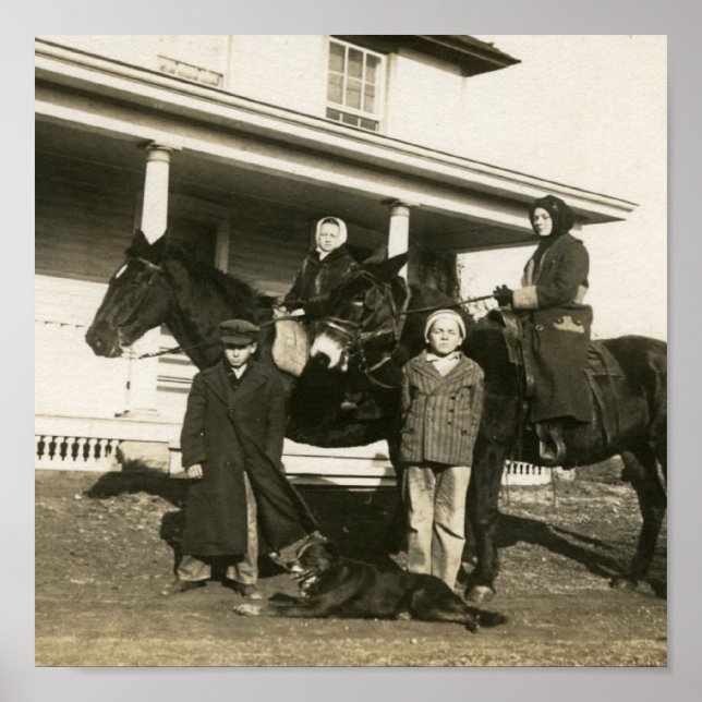 Poster Esther no Donkey (Frente)