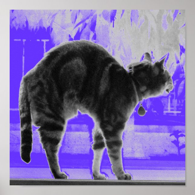 Poster Esticando Indigo B+W (Frente)