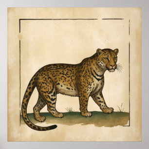 Poster Estilo Antigo Simples Arte Leopardo