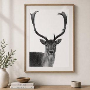 Poster estilo cabine veado cervo preto branco