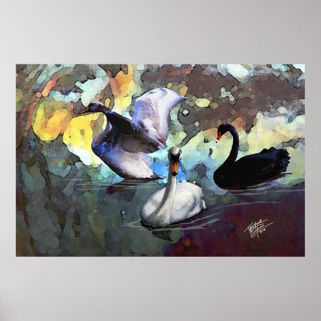 Póster Estilo de Aquarela Chinês Swaps Nadando (Frente)