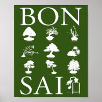 Estilos Básicos da Árvore Bonsai