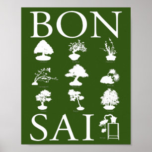 Poster Estilos Básicos da Árvore Bonsai