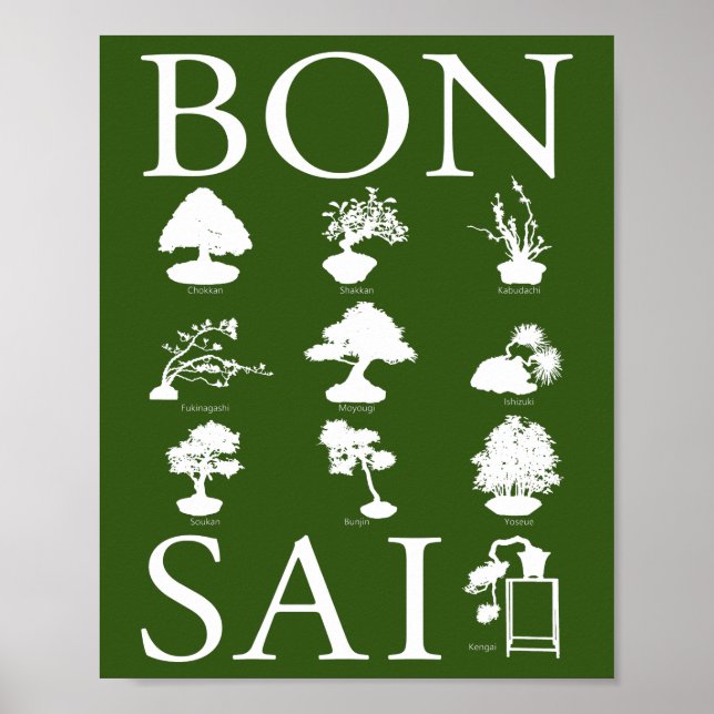 Poster Estilos Básicos da Árvore Bonsai (Frente)