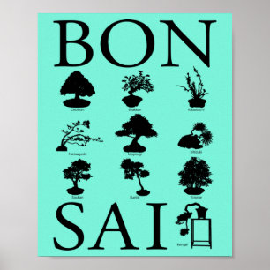 Poster Estilos Básicos da Árvore Bonsai
