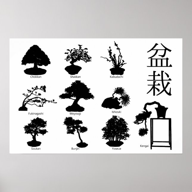 Poster Estilos Básicos da Árvore Bonsai 10 (Frente)