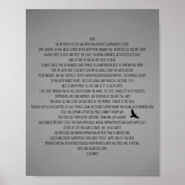 POSTER ESTILOS DE ARTE E DESIGN DE CARTAZES (Frente)