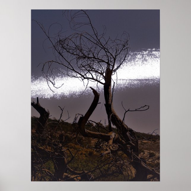 POSTER ESTILOS DE ARTE E DESIGN DE CARTAZES (Frente)