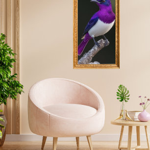 Poster Estorninho-de-dorso-roxo