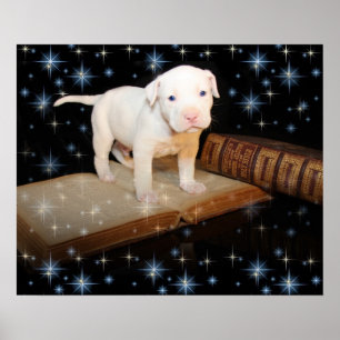 Póster Estou aprendendo a ler a Bíblia