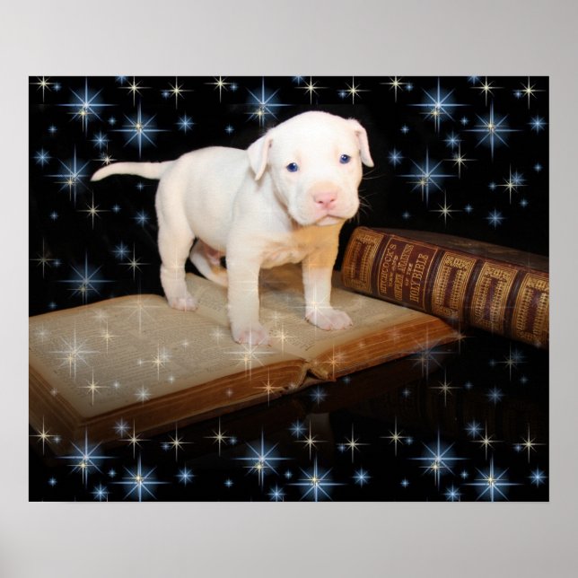 Póster Estou aprendendo a ler a Bíblia (Frente)