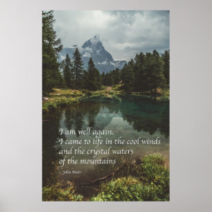 Poster 'Estou bem novamente' Citação de natureza mindfuln
