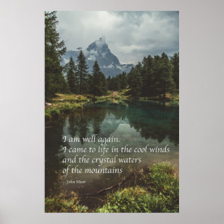 Poster 'Estou bem novamente' Citação de natureza mindfuln