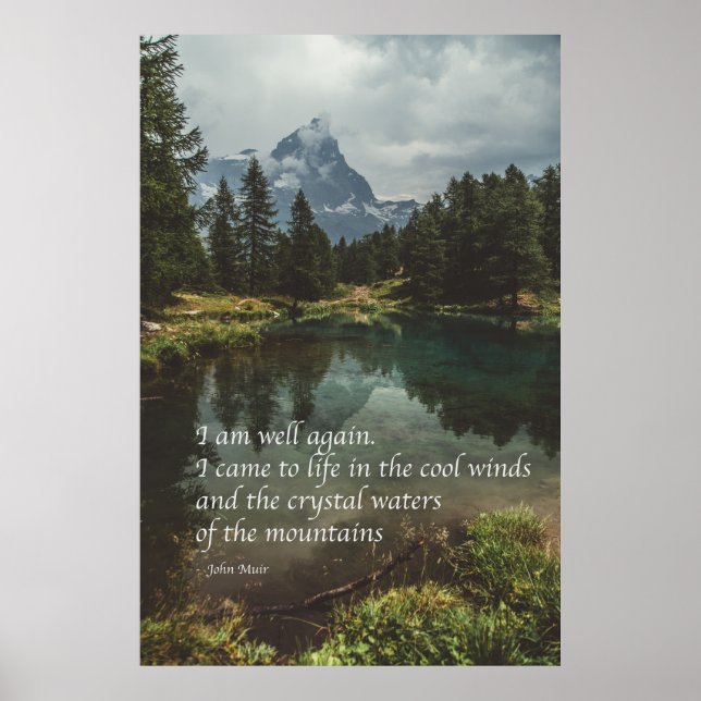 Poster 'Estou bem novamente' Citação de natureza mindfuln (Frente)