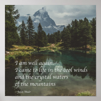 Poster 'Estou bem novamente' Citação de natureza mindfuln