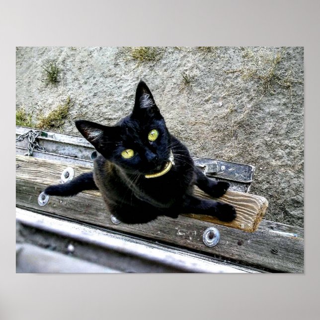 Poster Estou esperando (Frente)