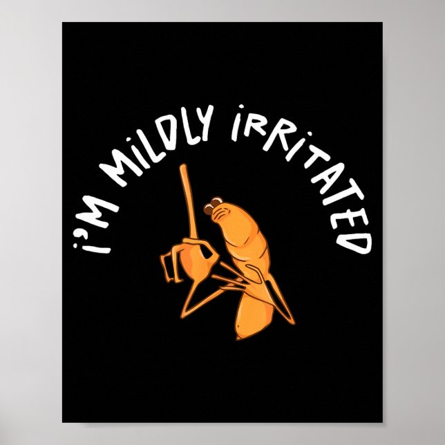 Poster Estou Levemente Irritado Marcus O Verme Engraçado  (Frente)