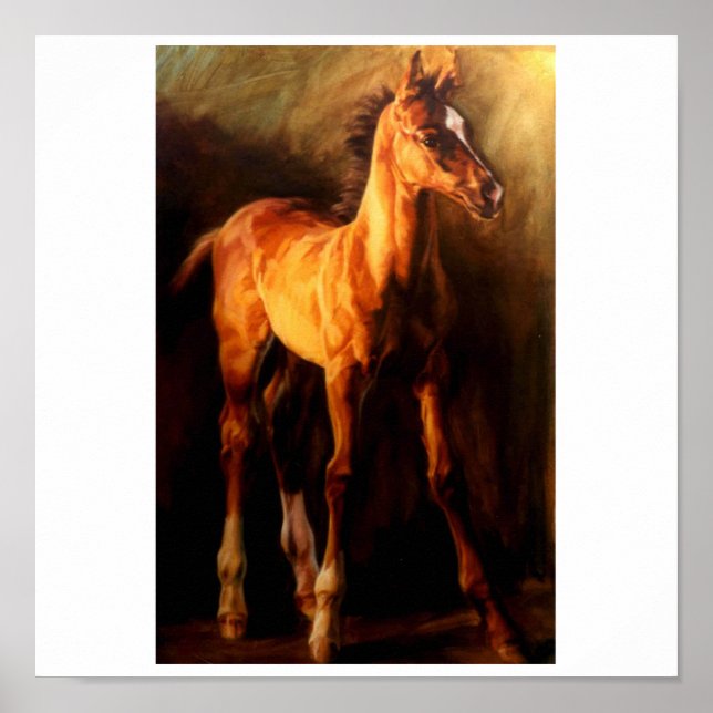 POSTER ESTOU TÃO BEM (Frente)