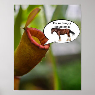 Poster Estou tão faminto que poderia comer um cavalo.