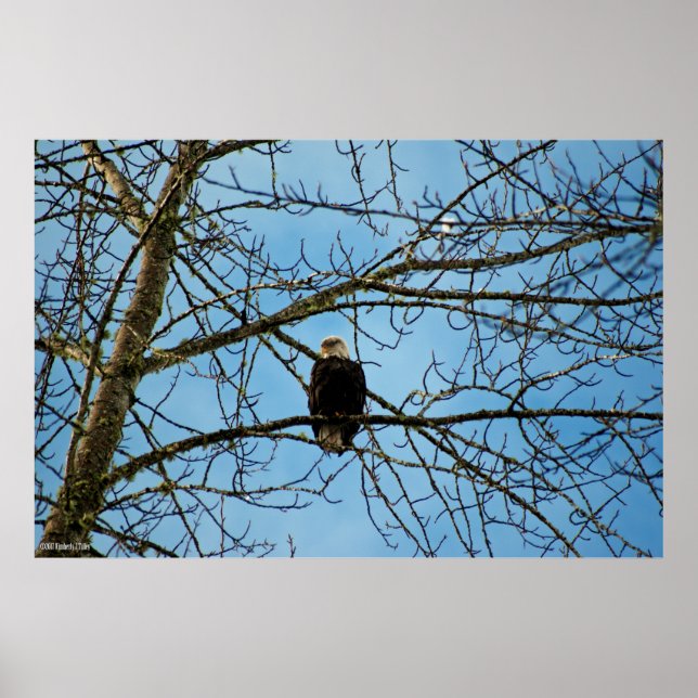 Poster Estou te observando (Frente)