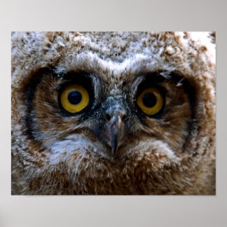 Póster Estou te observando