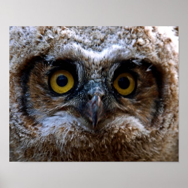 Póster Estou te observando (Frente)