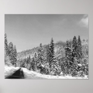 Poster Estrada de floresta do inverno