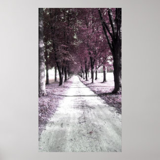 Póster estrada de gomo rosa