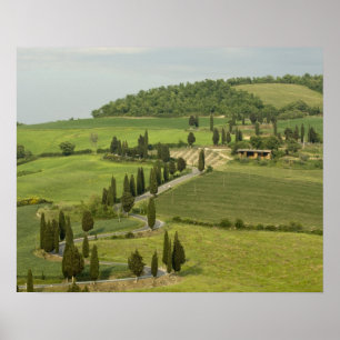 Póster Estrada de Pienza a Montepulciano,