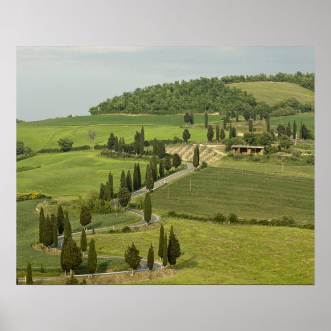 Póster Estrada de Pienza a Montepulciano, (Frente)