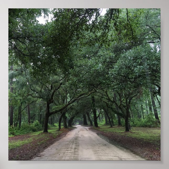 Poster estrada de segurança (Frente)