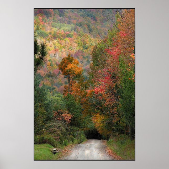 Poster Estrada do País (Frente)