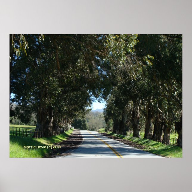 Póster Estrada do País em Linha de Árvore (Frente)