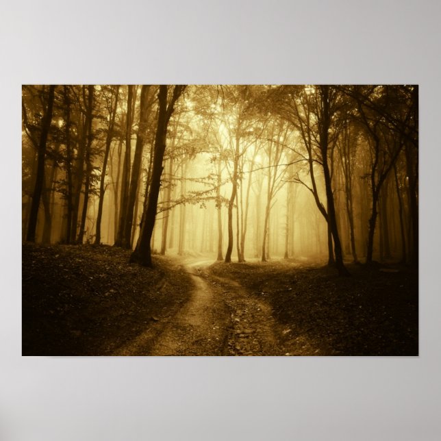 Poster Estrada em uma floresta escura com neblina (Frente)