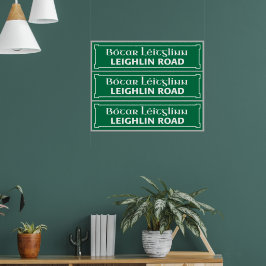Poster Estrada Leighlin