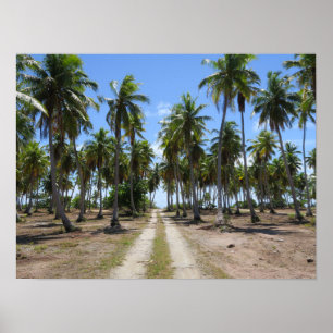 Poster Estrada para o paraíso Rangiroa
