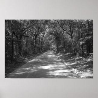 Poster Estrada para Sem Onde