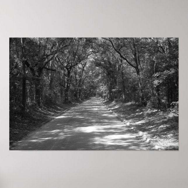 Poster Estrada para Sem Onde (Frente)