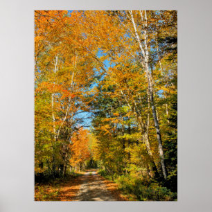 Poster Estrada Rural Cores de Outono New Hampshire