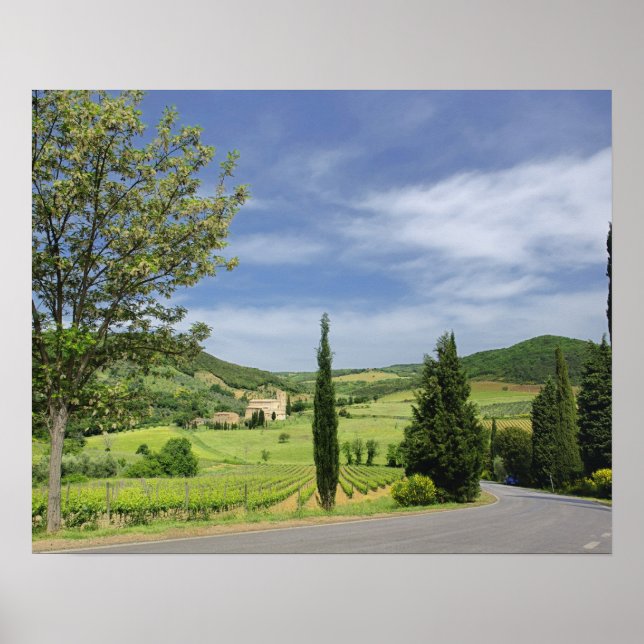 Poster Estrada rural curvando entre ciprestes em (Frente)