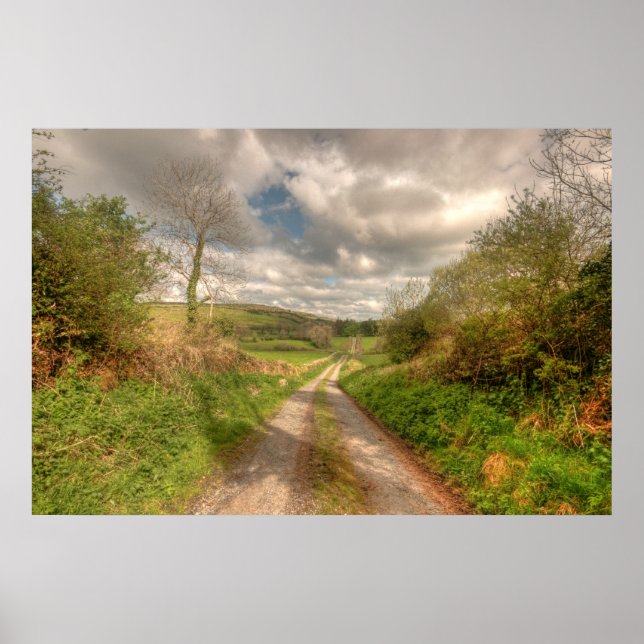 Póster Estrada rural irlandesa (Frente)